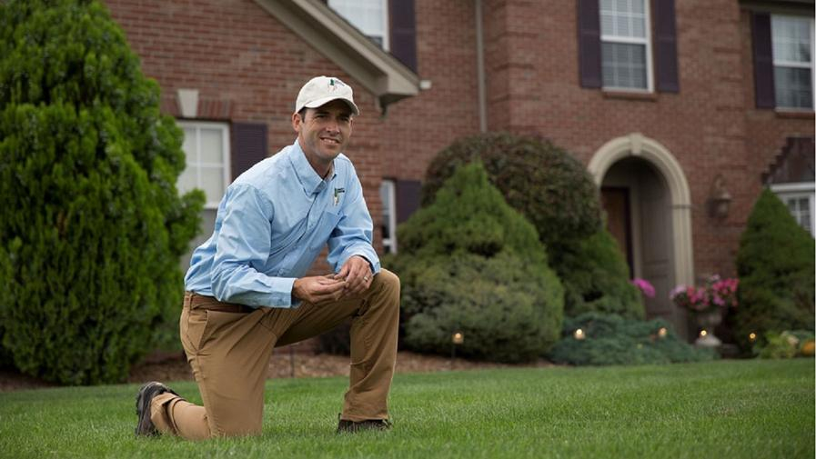 Cover photo of Lawn Doctor of Harvest-Hazel Green-West Huntsville