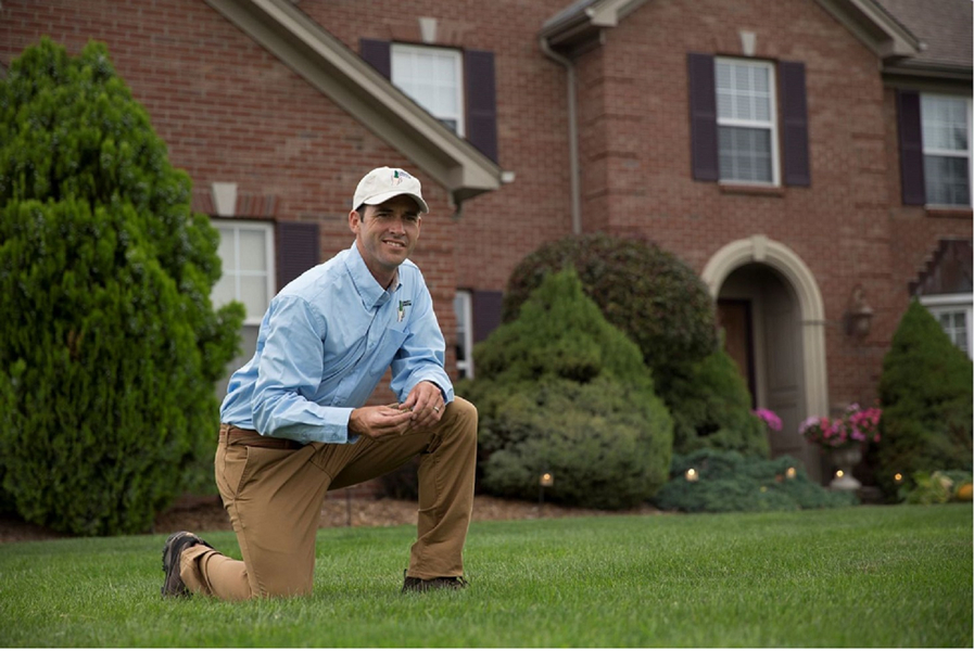 Cover photo of Lawn Doctor of Harvest-Hazel Green-West Huntsville